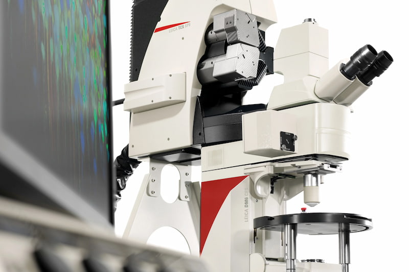 Leica SP8 Confocal